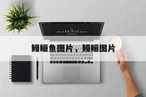 鳗鲡鱼图片，鳗鲡图片-第1张图片-