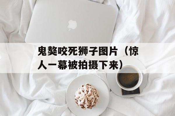 鬼獒咬死狮子图片（惊人一幕被拍摄下来）-第1张图片-