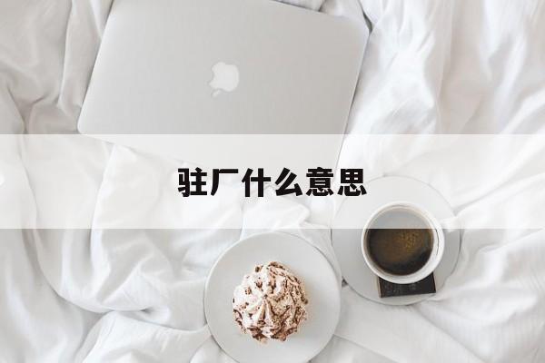 驻厂什么意思-第1张图片-
