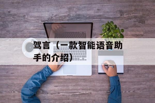 驾言（一款智能语音助手的介绍）-第1张图片-