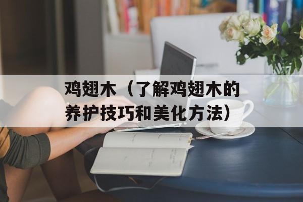 鸡翅木（了解鸡翅木的养护技巧和美化方法）-第1张图片-