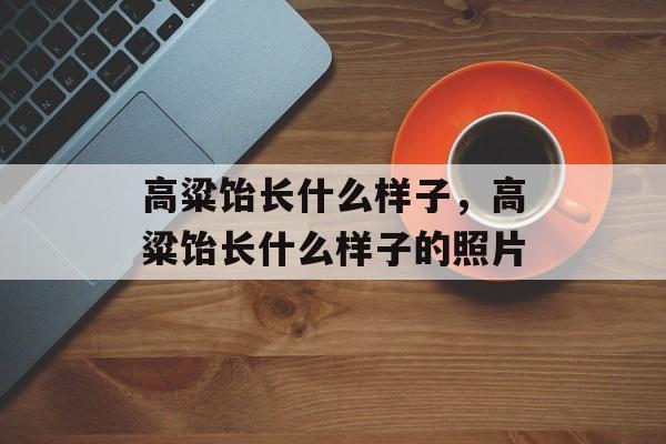 高粱饴长什么样子，高粱饴长什么样子的照片-第1张图片-