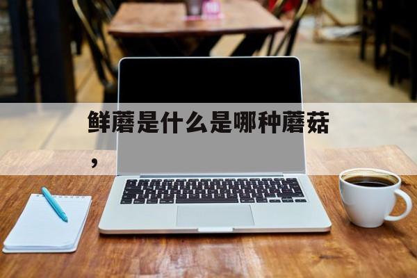 鲜蘑是什么是哪种蘑菇，-第1张图片-