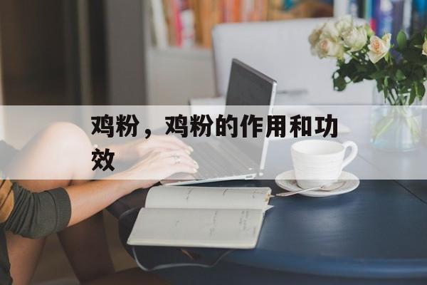 鸡粉，鸡粉的作用和功效-第1张图片-