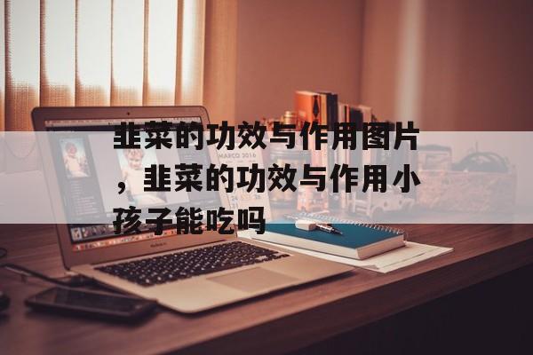 韭菜的功效与作用图片,韭菜的功效与作用小孩子能吃吗-第1张图片- 韭菜的功效与作用图片,韭菜的功效与作用小孩子能吃吗-第1张图片-