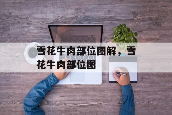 雪花牛肉部位图解，雪花牛肉部位图-第1张图片-