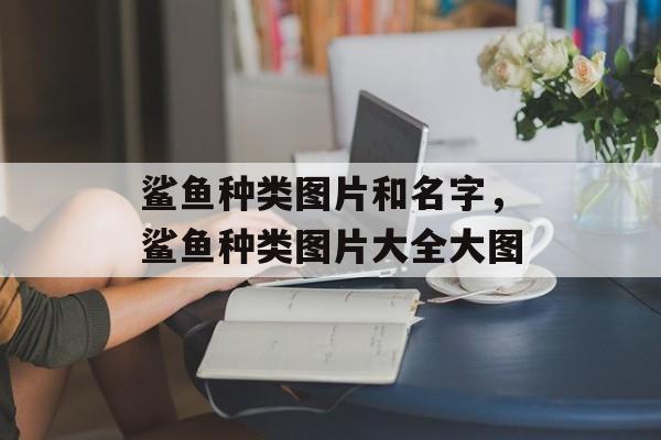鲨鱼种类图片和名字，鲨鱼种类图片大全大图-第1张图片-