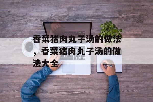香菜猪肉丸子汤的做法，香菜猪肉丸子汤的做法大全-第1张图片-