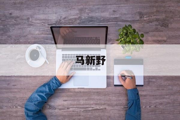 马新野-第1张图片-