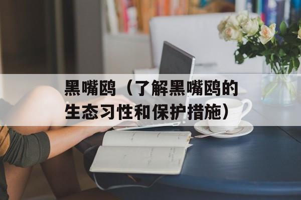 黑嘴鸥（了解黑嘴鸥的生态习性和保护措施）-第1张图片-