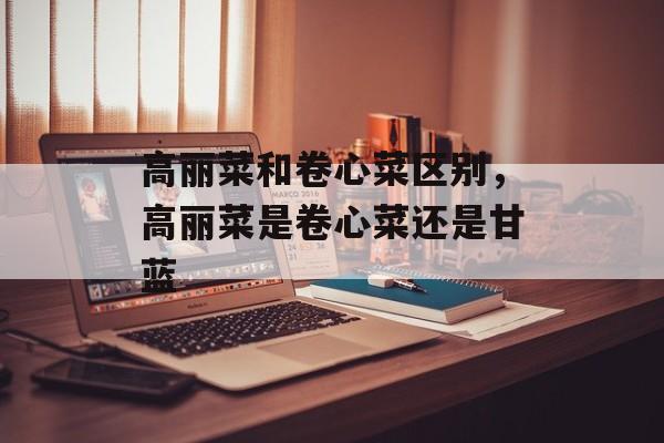 高丽菜和卷心菜区别，高丽菜是卷心菜还是甘蓝-第1张图片-