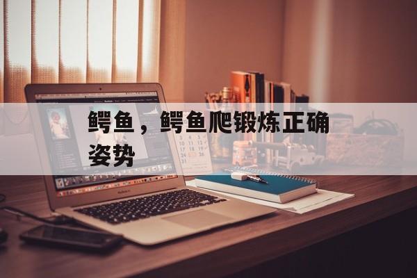 鳄鱼，鳄鱼爬锻炼正确姿势-第1张图片-