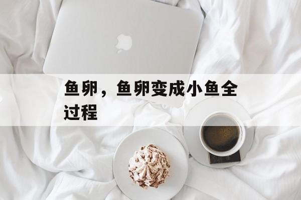 鱼卵，鱼卵变成小鱼全过程-第1张图片-