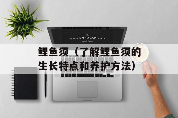 鲤鱼须（了解鲤鱼须的生长特点和养护方法）-第1张图片-