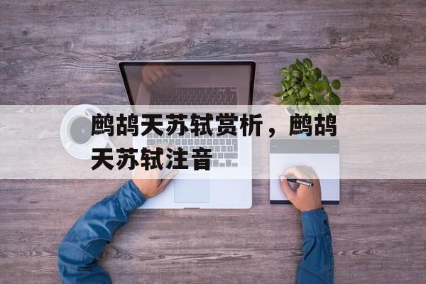 鹧鸪天苏轼赏析，鹧鸪天苏轼注音-第1张图片-
