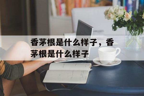 香茅根是什么样子，香茅根是什么样子-第1张图片-