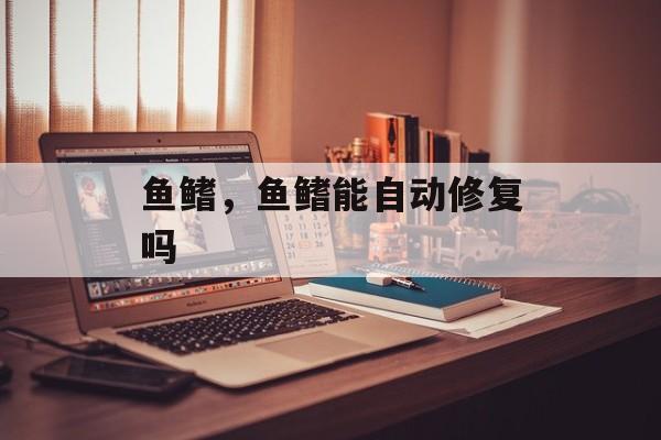 鱼鳍，鱼鳍能自动修复吗-第1张图片-