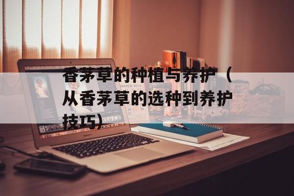 香茅草的种植与养护（从香茅草的选种到养护技巧）-第1张图片-