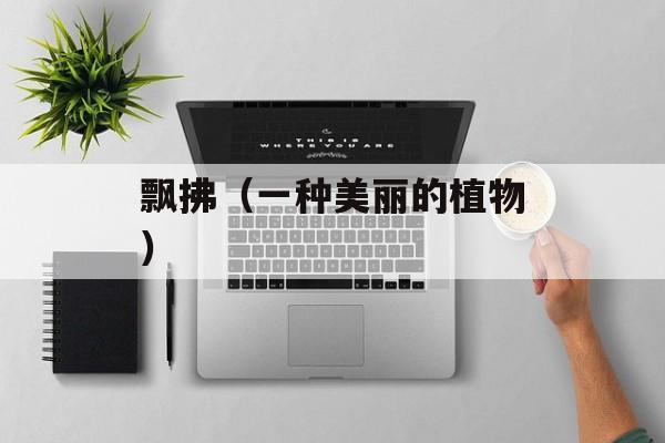 飘拂（一种美丽的植物）-第1张图片-