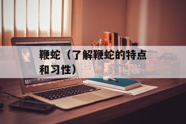 鞭蛇（了解鞭蛇的特点和习性）-第1张图片-