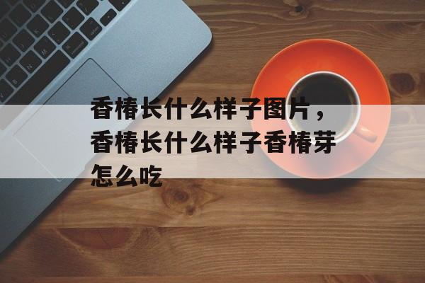 香椿长什么样子图片，香椿长什么样子香椿芽怎么吃-第1张图片-