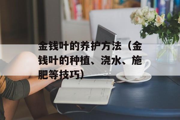 金钱叶的养护方法（金钱叶的种植、浇水、施肥等技巧）-第1张图片-