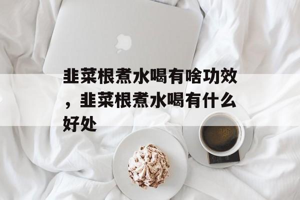 韭菜根煮水喝有啥功效，韭菜根煮水喝有什么好处-第1张图片-