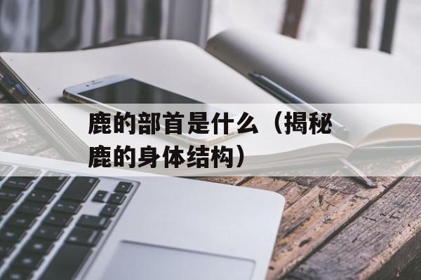 鹿的部首是什么（揭秘鹿的身体结构）-第1张图片-