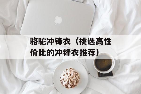 骆驼冲锋衣（挑选高性价比的冲锋衣推荐）-第1张图片-