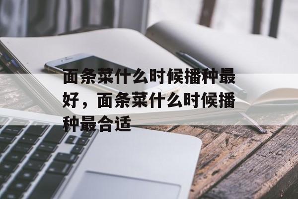 面条菜什么时候播种最好，面条菜什么时候播种最合适-第1张图片-