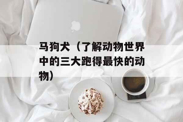 马狗犬（了解动物世界中的三大跑得最快的动物）-第1张图片-