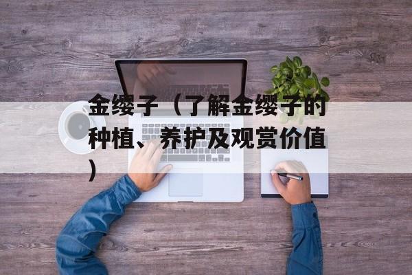 金缨子（了解金缨子的种植、养护及观赏价值）-第1张图片-