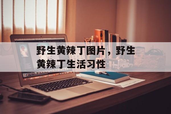 野生黄辣丁图片，野生黄辣丁生活习性-第1张图片-