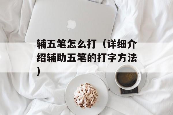 辅五笔怎么打（详细介绍辅助五笔的打字方法）-第1张图片-