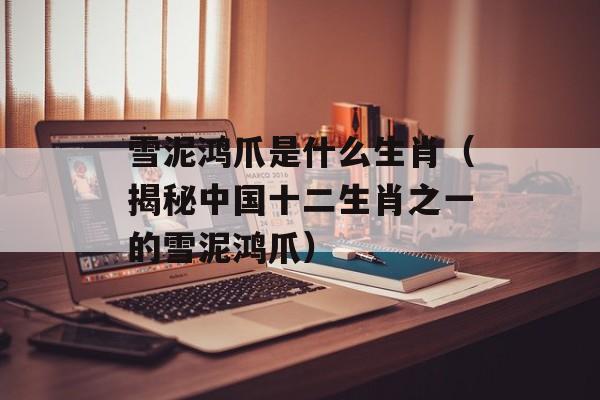 雪泥鸿爪是什么生肖（揭秘中国十二生肖之一的雪泥鸿爪）-第1张图片-