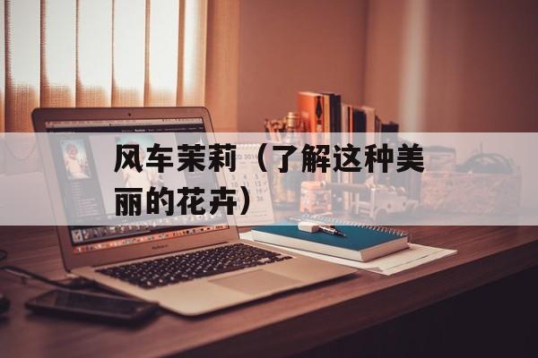 风车茉莉（了解这种美丽的花卉）-第1张图片-