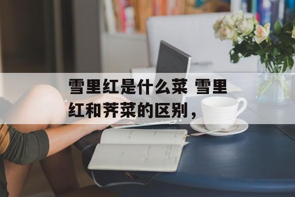 雪里红是什么菜 雪里红和荠菜的区别，-第1张图片-