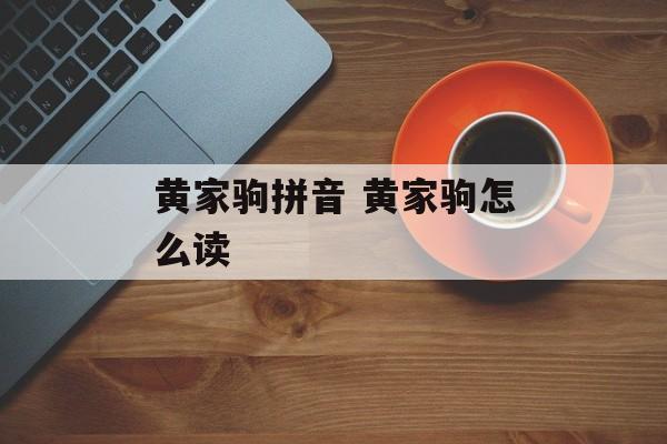 黄家驹拼音 黄家驹怎么读-第1张图片-