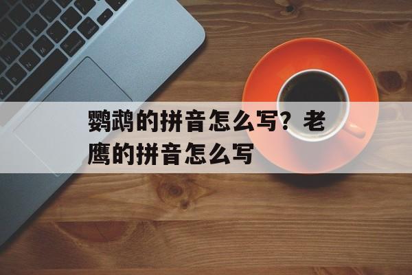 鹦鹉的拼音怎么写？老鹰的拼音怎么写-第1张图片-