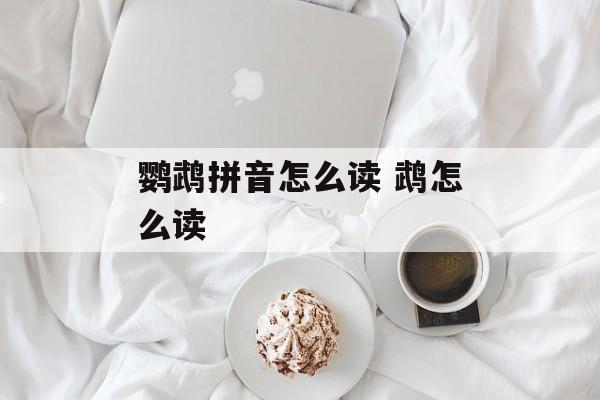 鹦鹉拼音怎么读 鹉怎么读-第1张图片-