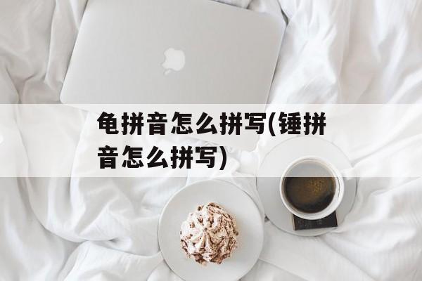 龟拼音怎么拼写(锤拼音怎么拼写)-第1张图片-