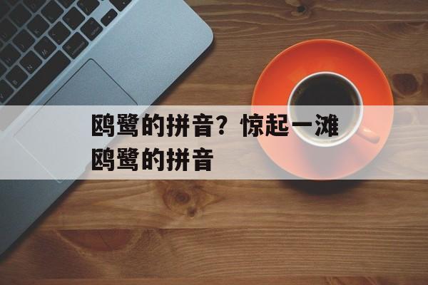 鸥鹭的拼音？惊起一滩鸥鹭的拼音-第1张图片-