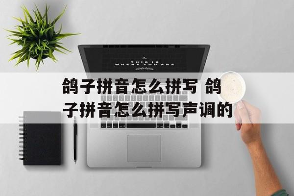 鸽子拼音怎么拼写 鸽子拼音怎么拼写声调的-第1张图片-