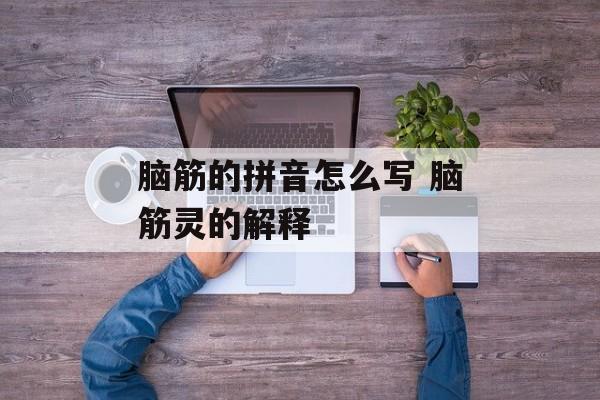 脑筋的拼音怎么写 脑筋灵的解释-第1张图片-