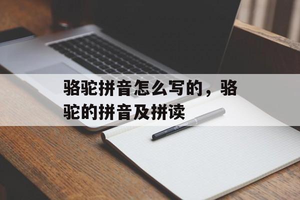 骆驼拼音怎么写的，骆驼的拼音及拼读-第1张图片-