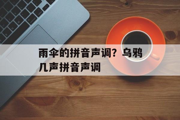 雨伞的拼音声调？乌鸦几声拼音声调-第1张图片-