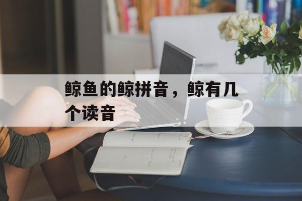 鲸鱼的鲸拼音，鲸有几个读音-第1张图片-