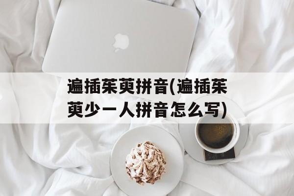 遍插茱萸拼音(遍插茱萸少一人拼音怎么写)-第1张图片-
