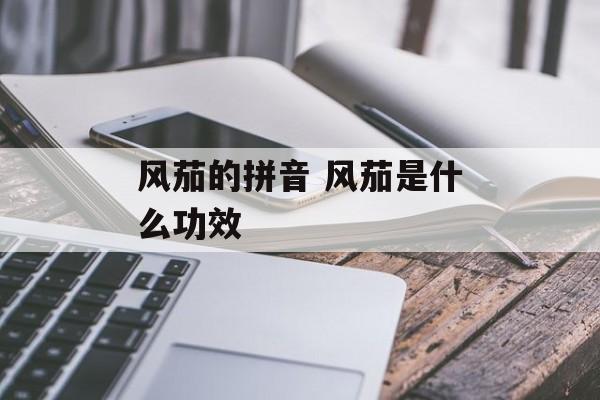 风茄的拼音 风茄是什么功效-第1张图片-