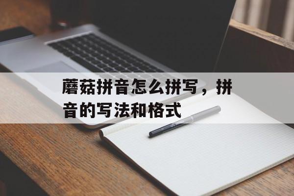蘑菇拼音怎么拼写，拼音的写法和格式-第1张图片-